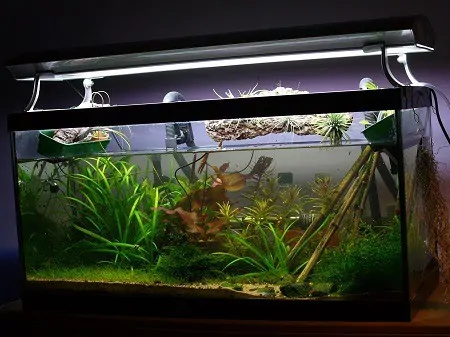 How To Install Fish Tank Filter Cartridge